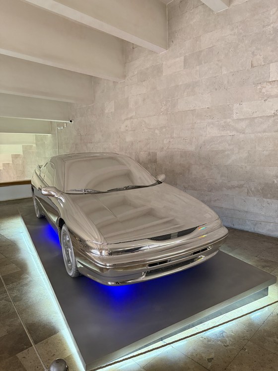 Shiny Art Car
