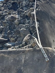 Iguana at Tazumal