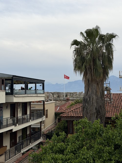 Rooftop view of a tall palm, red tile roofs, a Turkish flag and distant mountains, Kiana Kaleiçi, Turkiye