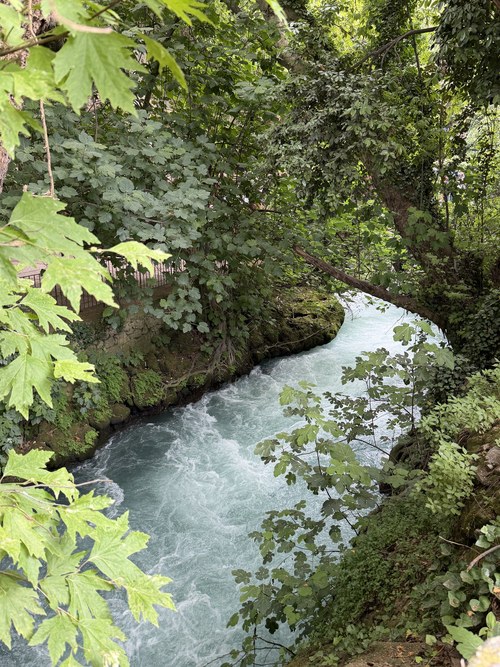 Fast turquoise river rushing between mossy banks under thick green trees, Upper Düden Falls, Turkiye