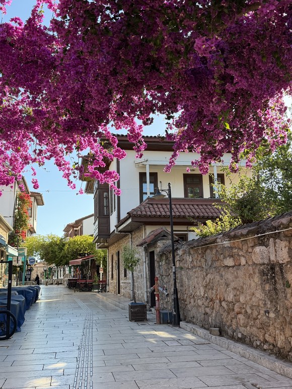 Pink bougainvillea arching over a sunlit stone lane and an old white house with a tiled roof, Kiana Kaleiçi, Turkiye