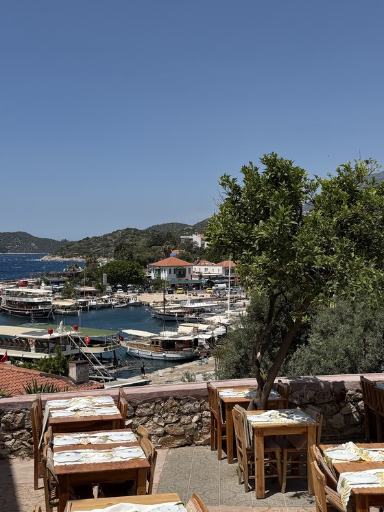 Set wooden tables on a terrace above a busy harbor with tour boats and green hills, Queen, Turkiye