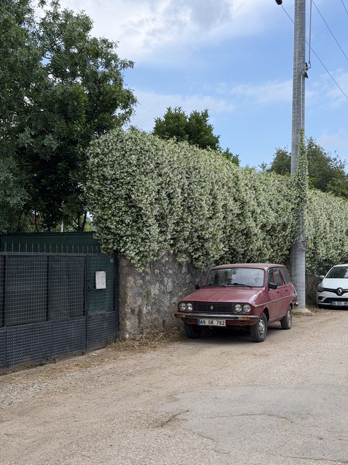 Old red sedan parked on a dirt lane beside a tall hedge and a villa gate, on the way to Kayaköy, Turkiye