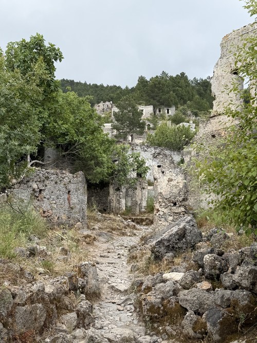 Rocky stone path winding between crumbling walls and trees toward ruined houses on a wooded hill, Kayaköy, Turkiye
